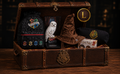 Baule L Primo anno ad Hogwarts