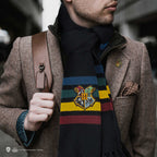 Sciarpa Hogwarts