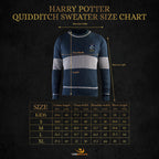 Maglioncino quidditch corvonero