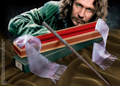 Bacchetta di Sirius Black