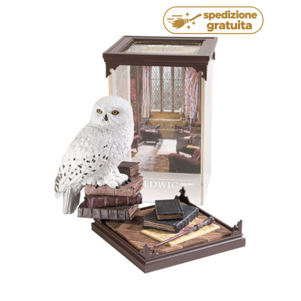 Edvige