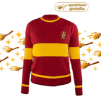 Mglioncino quidditch grifondoro